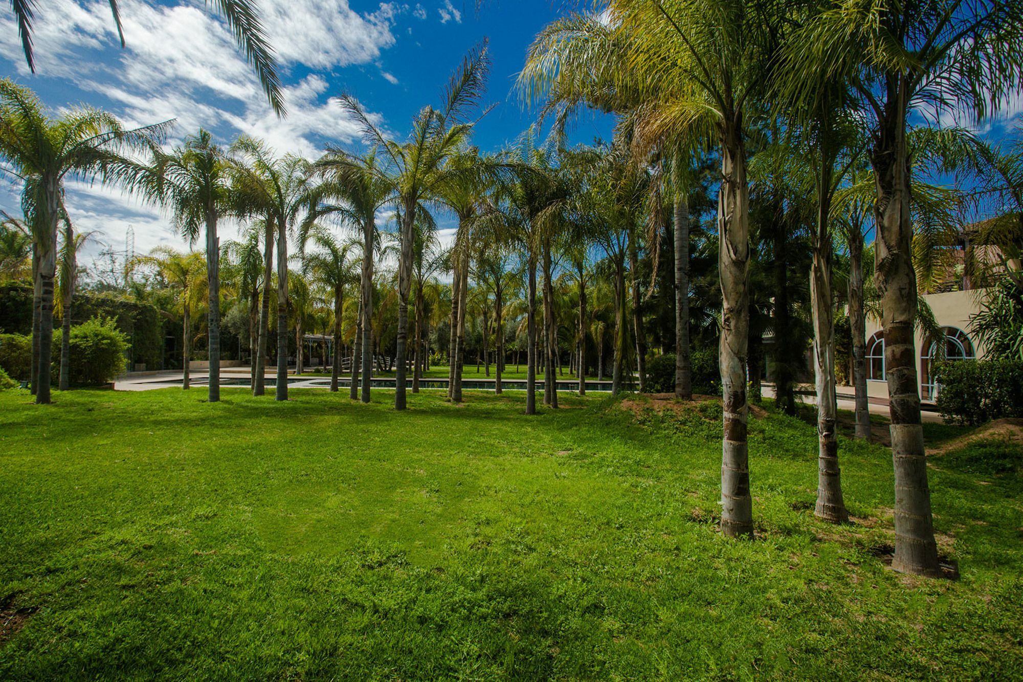 Palais Mirage D'Atlas, Hotel De Luxe & Spa Ouled Jelal 外观 照片